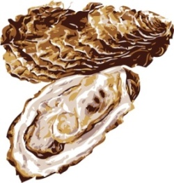 oyster